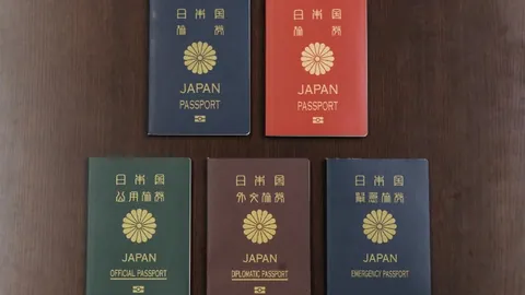 哈登高效砍下24分12助攻，快船险胜猛龙保住4连胜，公牛逆转老鹰获胜